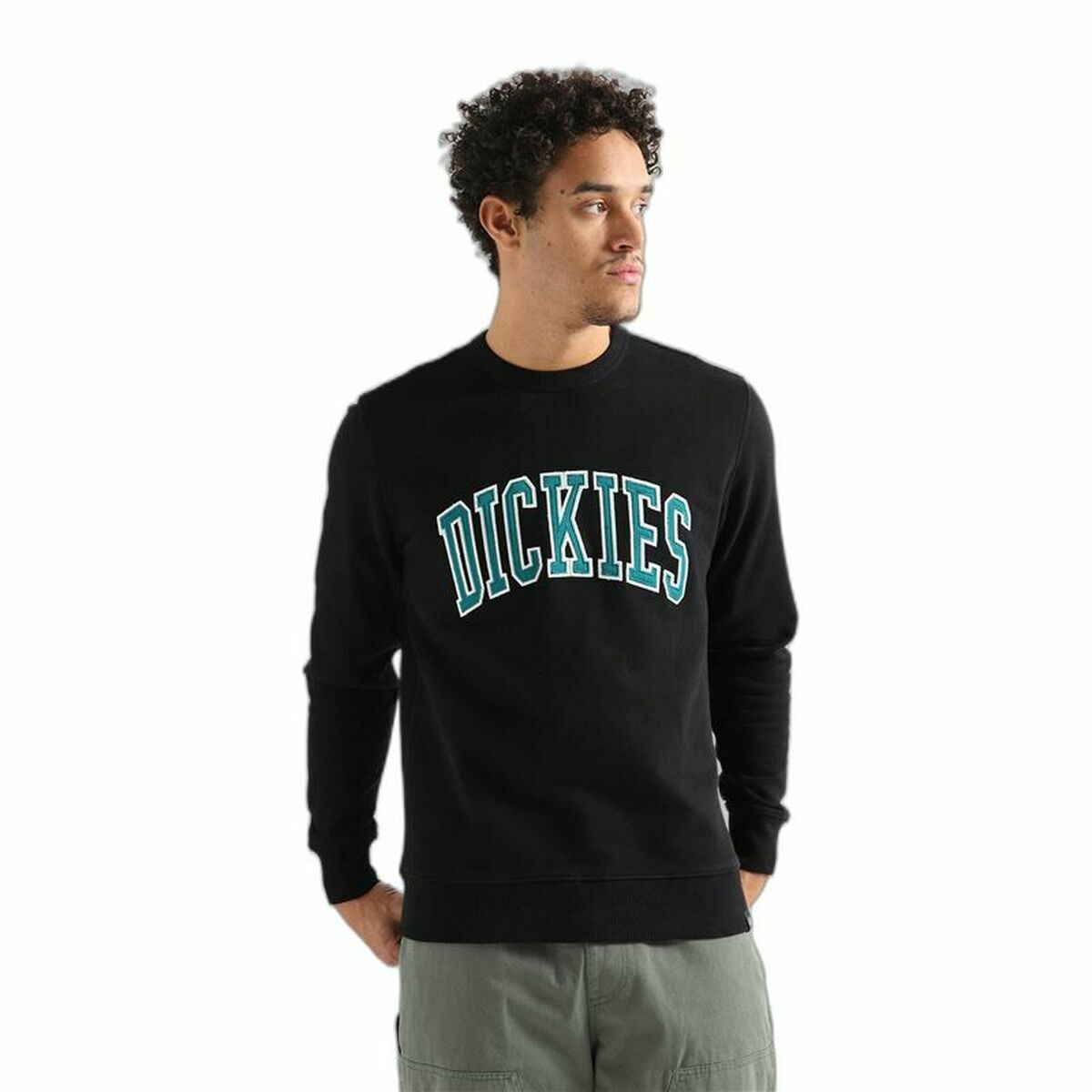 Hoodie Dickies Aitkin Black S